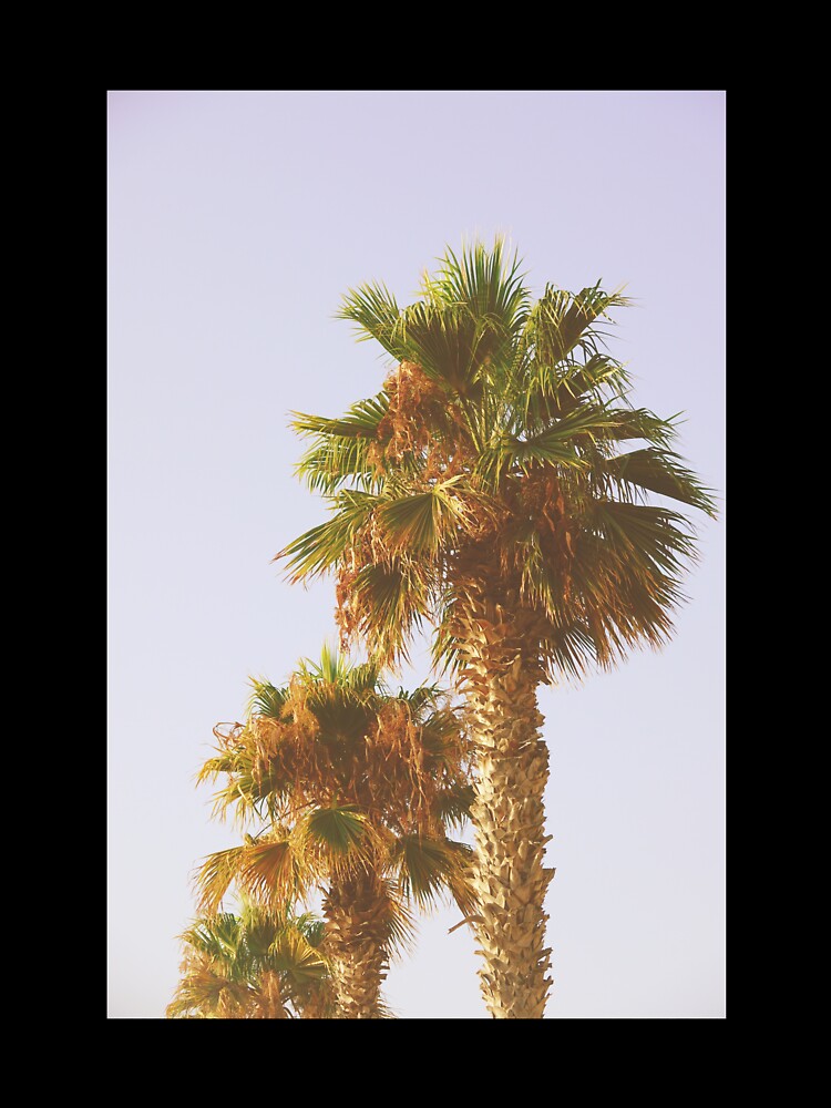 Old Palm Trees in Tropical Beach - Summer Nature Photography by CarolinaReina Unisex , , , Long Sleeve Tee