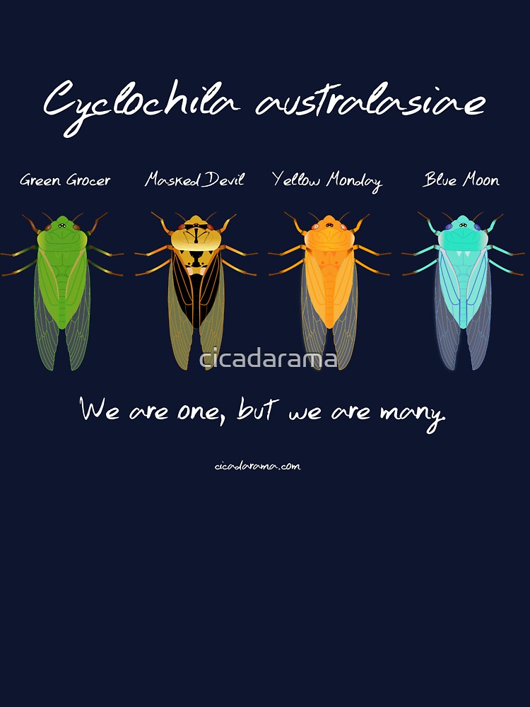 "We are one" - Cyclochila australasiae cicada (dark colour shirts) by cicadarama Unisex , , , Long Sleeve Tee