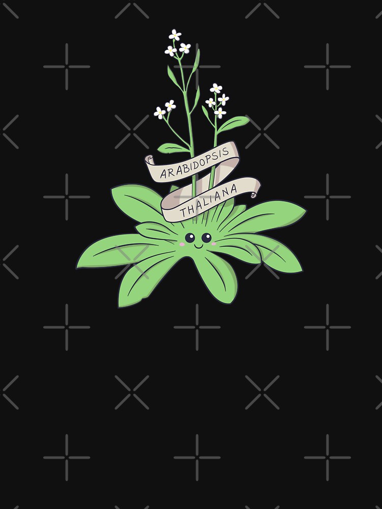 Cute Arabidopsis thaliana plant by cutescience