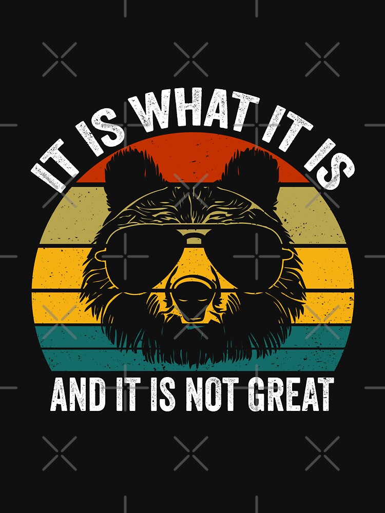 It Is What It Is and It Is Not Great Funny Cartoon Bear Meme by 7Merch Unisex , , , Long Sleeve Tee