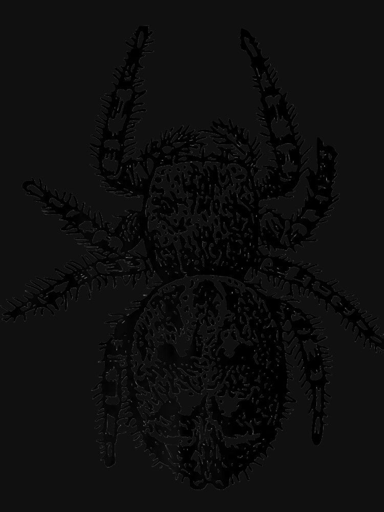 Jumping Spider Premium by RobertRogers6 Unisex , , , Long Sleeve Tee