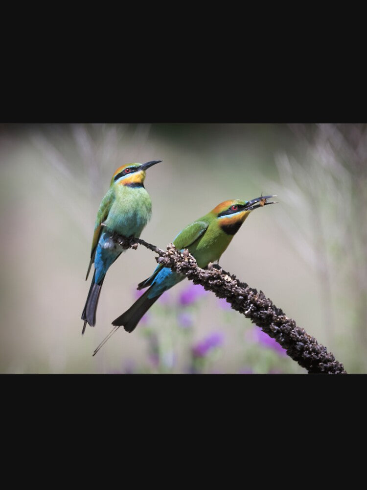 Pair of rainbow bee-eaters. Premium . by vieunmbelski Unisex , , , Long Sleeve Tee