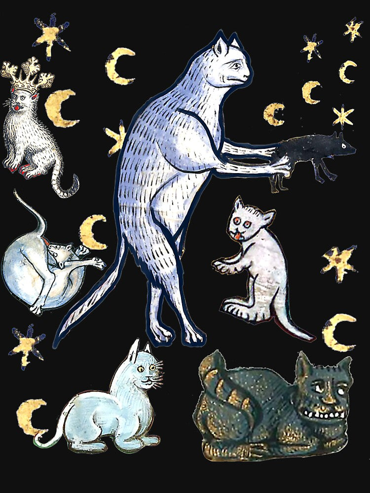 UGLY MEDIEVAL CATS Merch by tighsquiggly