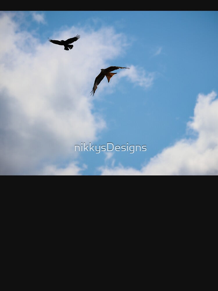Red Kite and Crow Against Sunny Cloud by nikkysDesigns
