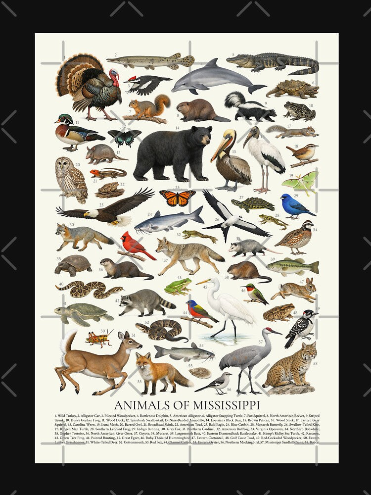 Animals of Mississippi Retro Style Identification Chart by kakarikihill Unisex , , , Long Sleeve Tee