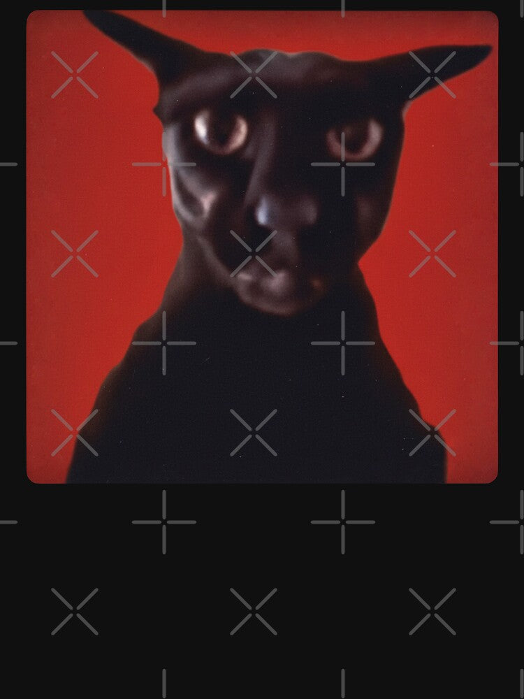 Evil Larry The Cat Meme by Eh Plus Designs Unisex , , , Long Sleeve Tee