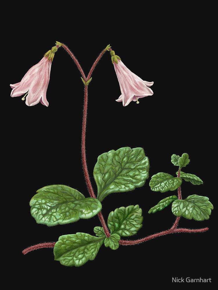 Western Twinflower by Nick Garnhart Unisex , , , Long Sleeve Tee