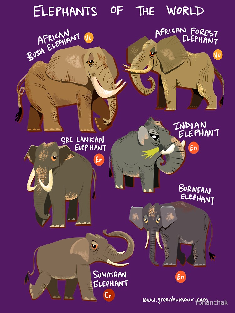 Elephants of the World by Green Humour