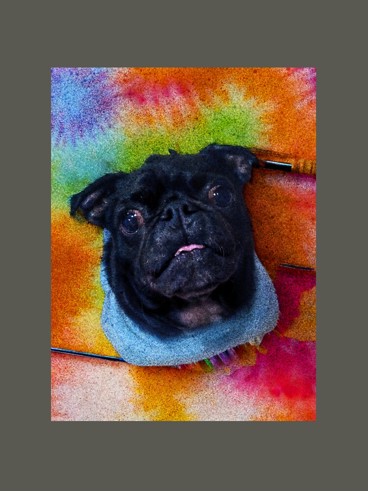 Hippie Pug by Jabbathepug