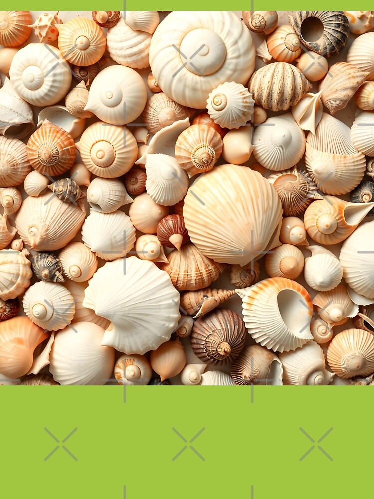 Shells 4 by HebaRK Studio