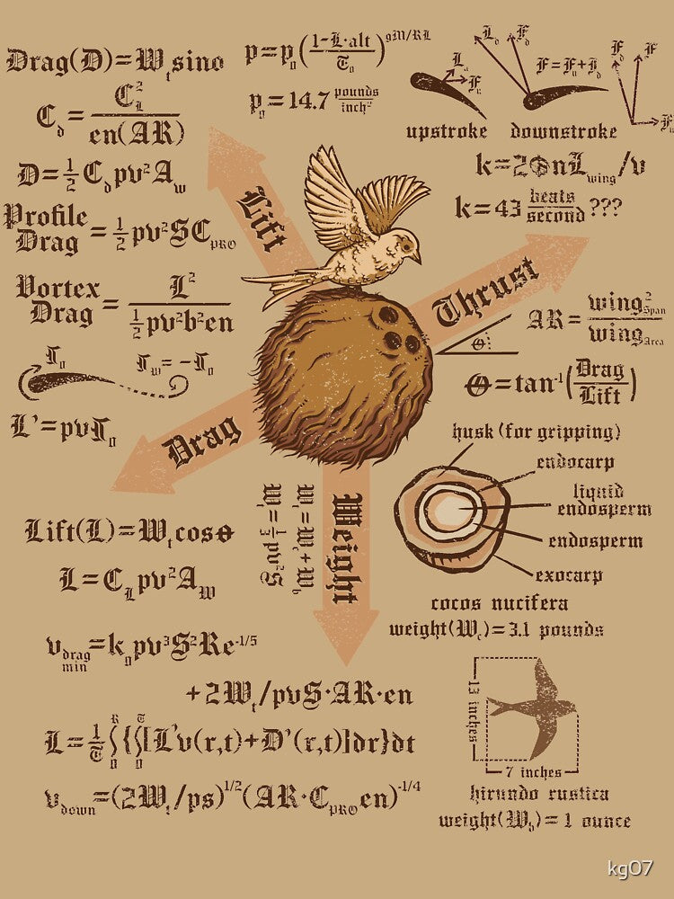 A Simple Question of Weight Ratios by kg07 Unisex , , , Long Sleeve Tee