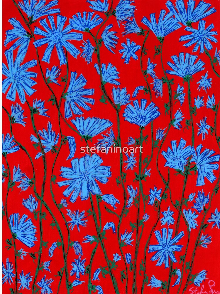 fiori di cicoria by stefaninoart