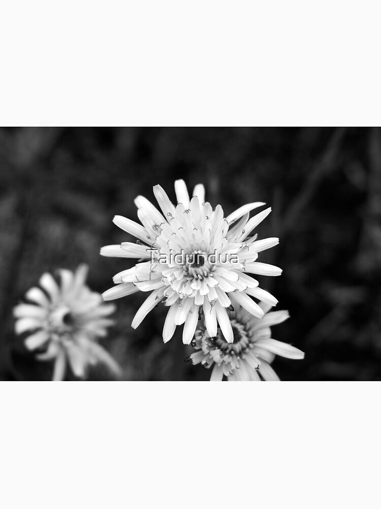 flower head by Taidundua Unisex , , , Long Sleeve Tee