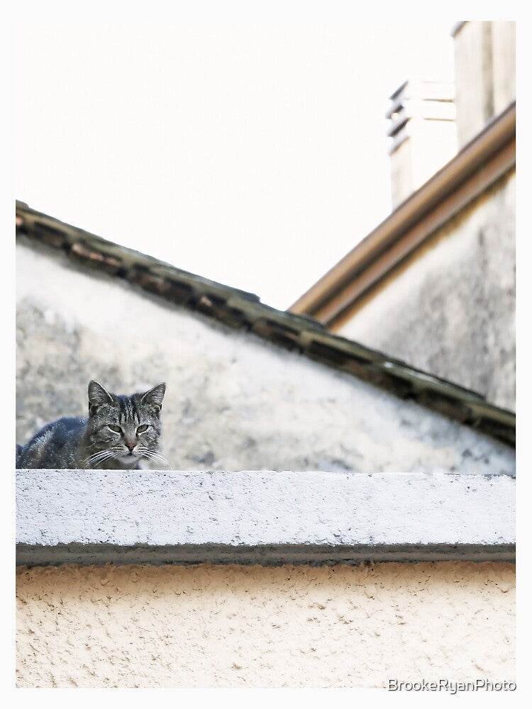 Cat on Roof in Earthtones by Brooke T Ryan Photographic Art