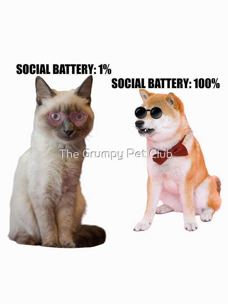 Social Battery 1% vs 100% – Funny Introvert Cat & Extrovert Dog Meme by The Grumpy Pet Club