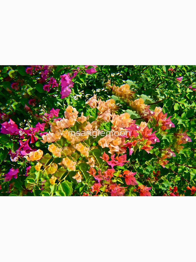Psychedelic Flowers in Labadee, Haiti by msangiemoon