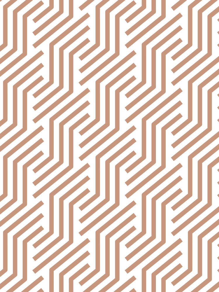 Tan and White Tessellation Line Pattern 21 Pairs DE 2022 Popular Color Chinook Salmon DET456 by ColorOfTheYears