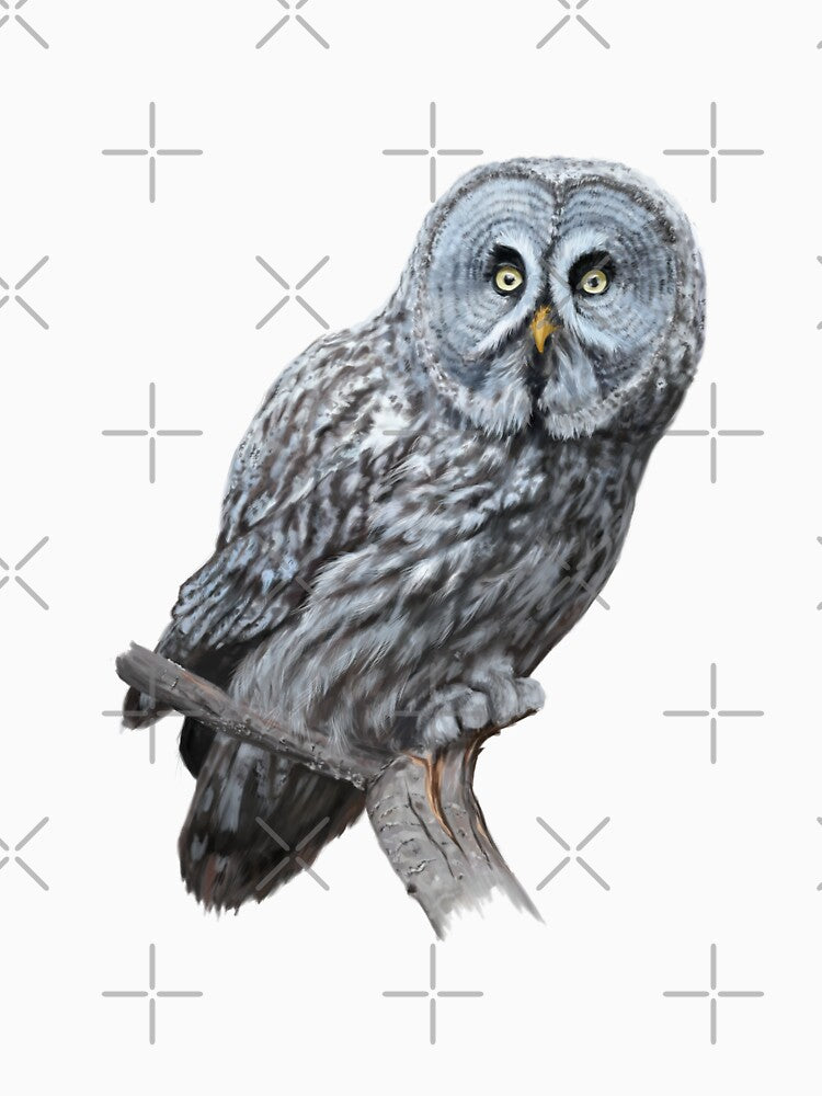 Great grey owl by illustra-terra