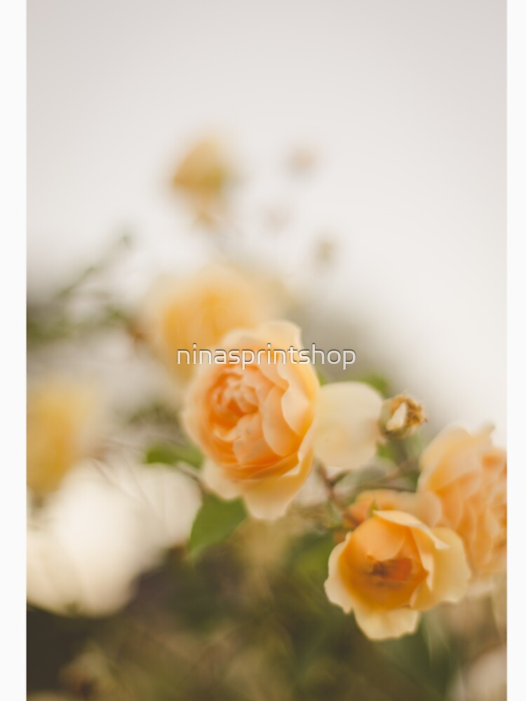 Soft yellow roses by ninasprintshop Unisex , , , Long Sleeve Tee
