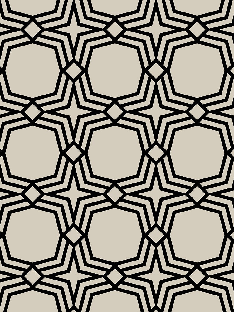 Black and Beige Star Geometric Shape Pattern Pairs DE 2022 Trending Color Bay Salt DET642 by ColorOfTheYears
