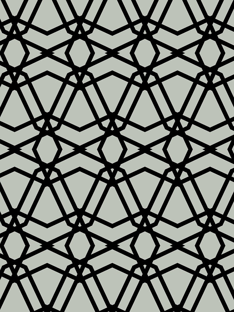 Pale Green and Black Line Geometric Pattern Pairs Dulux 2022 Popular Colour Tranquil Dawn - Color Trends by ColorOfTheYears