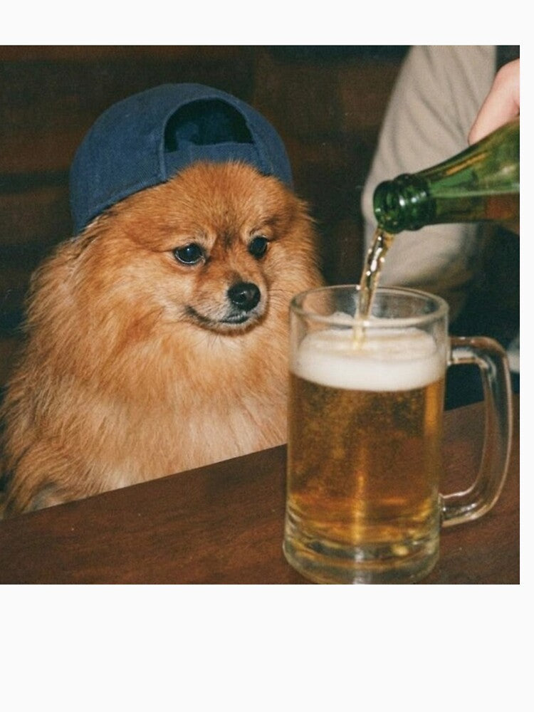 Funny Pomeranian Drinking Beer by ascribbler19 Unisex , , , Long Sleeve Tee