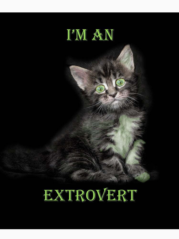 I'm An Extrovert by Patricia Brown Unisex , , , Long Sleeve Tee