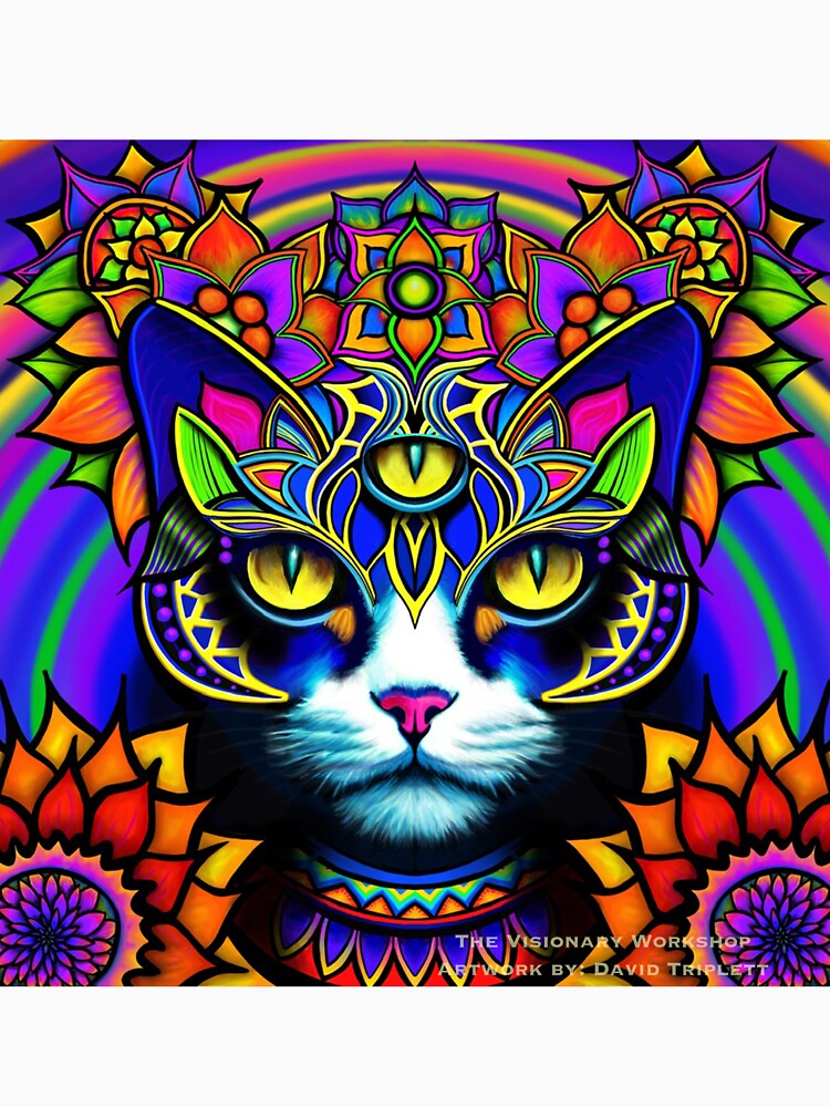 Visionary Kitty by visionarywrkshp