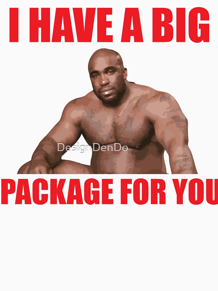 I Have A Big Package For You by DesignDenDo ⭐⭐⭐⭐⭐ Unisex , , , Long Sleeve Tee
