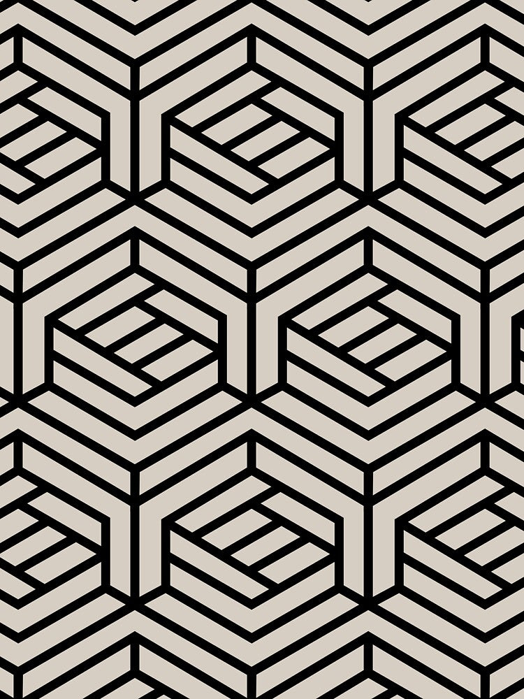 Black and Tan Modern Cube Geometric Shape Pattern Coordinates w/ Dutch Boy 2022 Popular Color Warmed Silver 440-1DB - Colour Trends - Hue by ColorOfTheYears