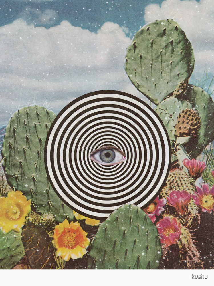 Cactus zone by kushu
