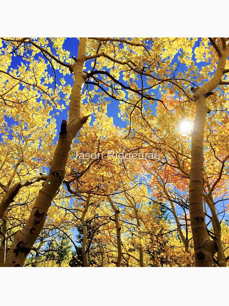 World Nature by Jason Ridgeway
