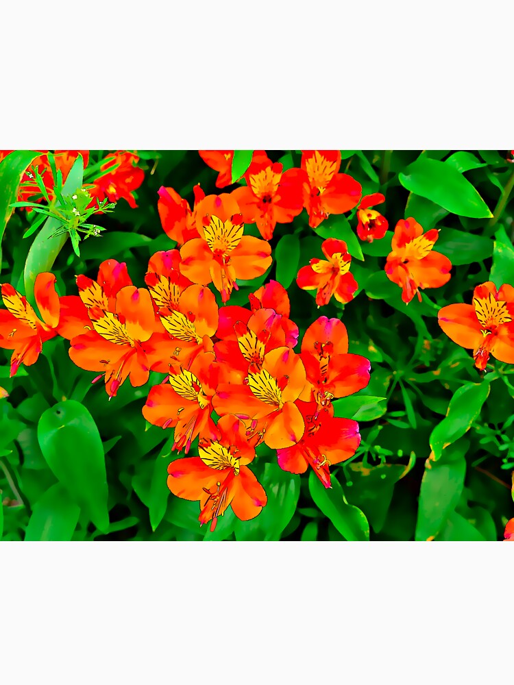 Vibrant Orange flowers summer pattern by santoshputhran Unisex , , , Long Sleeve Tee