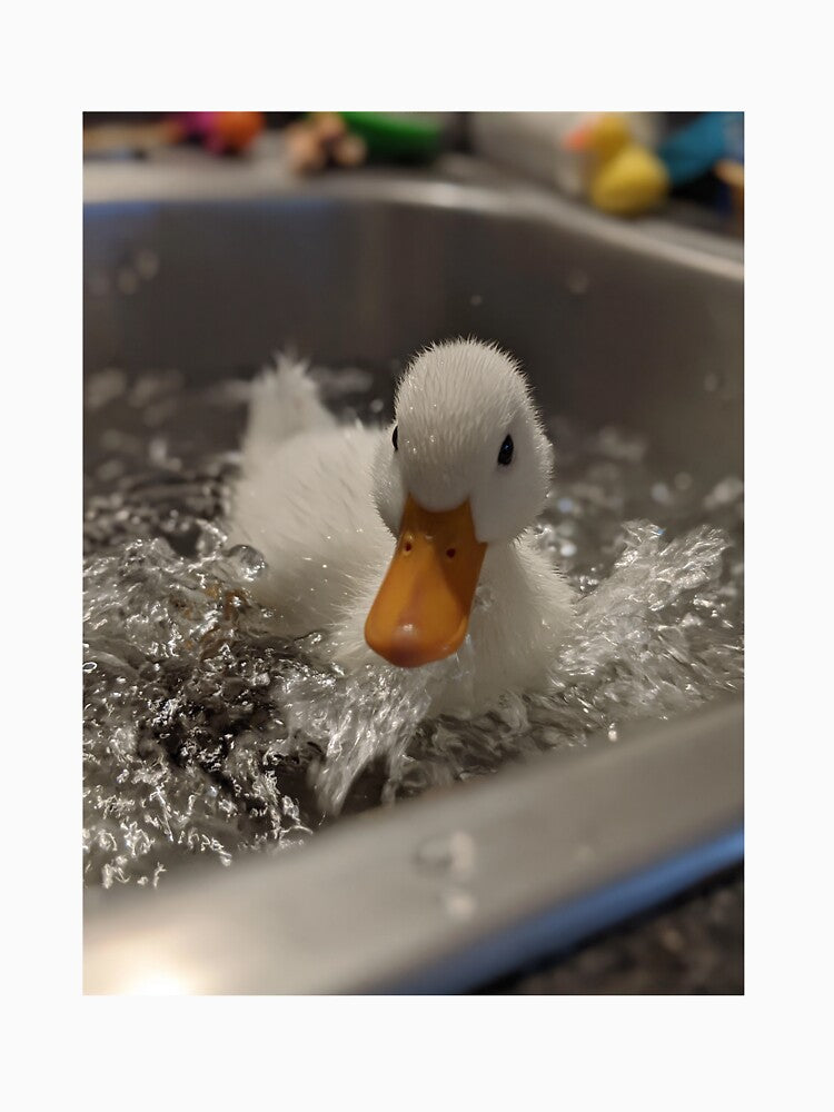 The Giant Duck by hub.