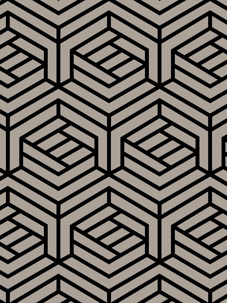 Taupe and Black Cube Geometric Shape Pattern Pairs HGTV 2022 Popular Color Perfect Greige HGSW2475 - Colour Trends - Shade - Hue by ColorOfTheYears