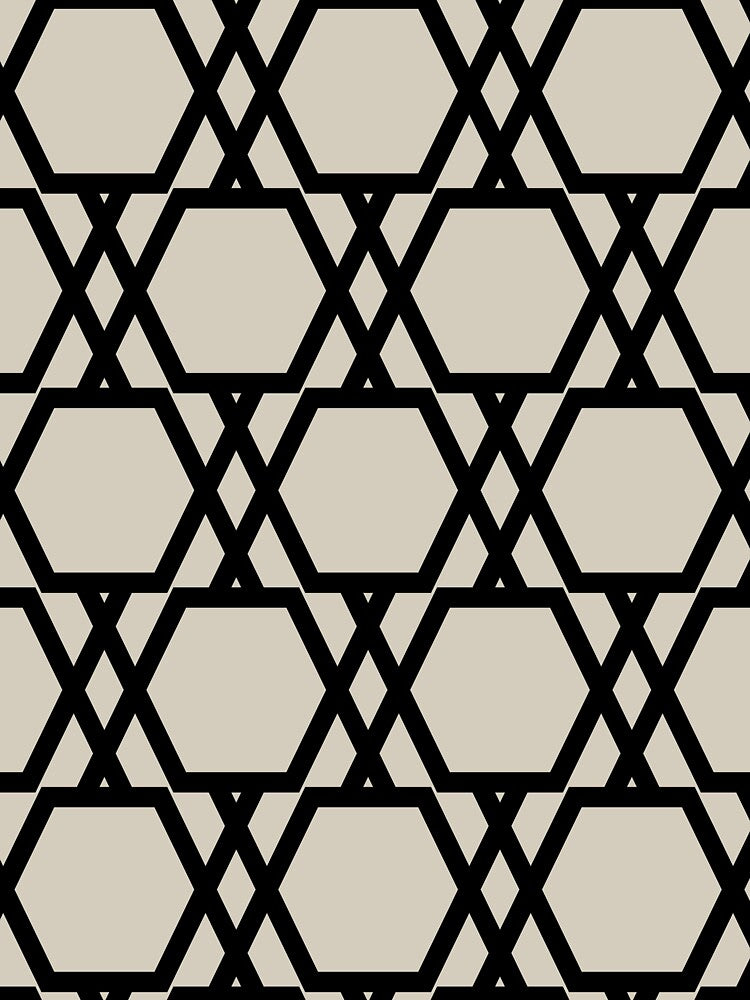 Black and Beige Tessellation Line Pattern 20 Pairs DE 2022 Trending Color Bay Salt DET642 by ColorOfTheYears