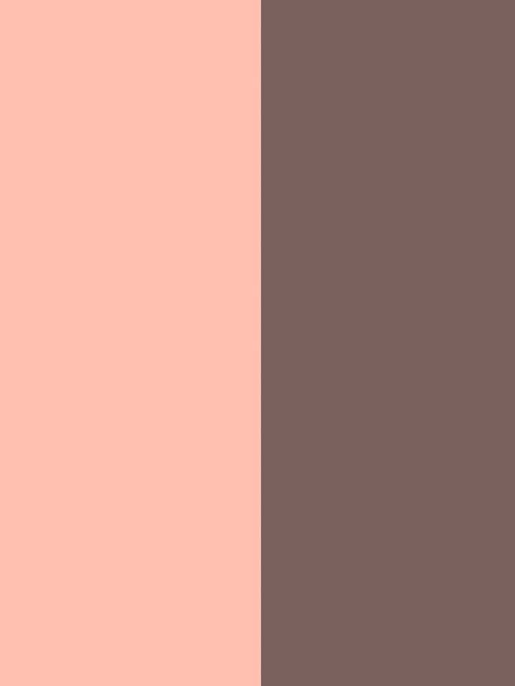 Minimalist Peach and Dark Brown Color Block Geometric Art by pluielegere