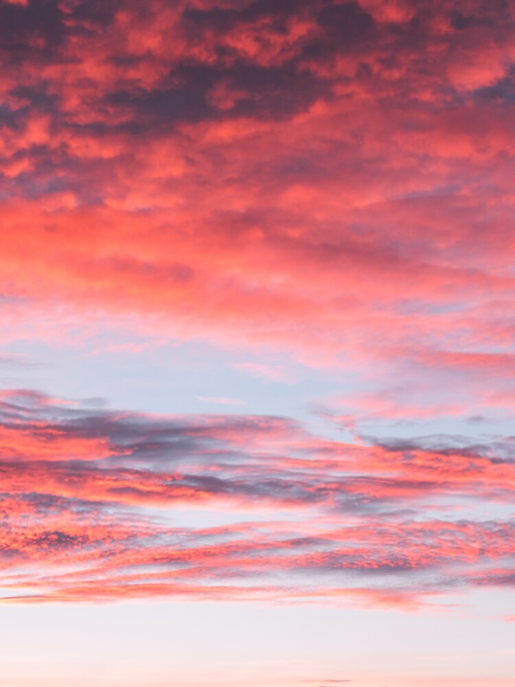 Beautiful Vibrant Pink Sunset Sky by newburyboutique Unisex , , , Long Sleeve Tee