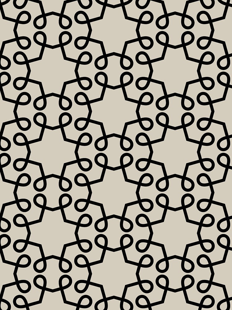 Black and Beige Geometric Swirl Shape Pattern Pairs DE 2022 Trending Color Bay Salt DET642 by ColorOfTheYears