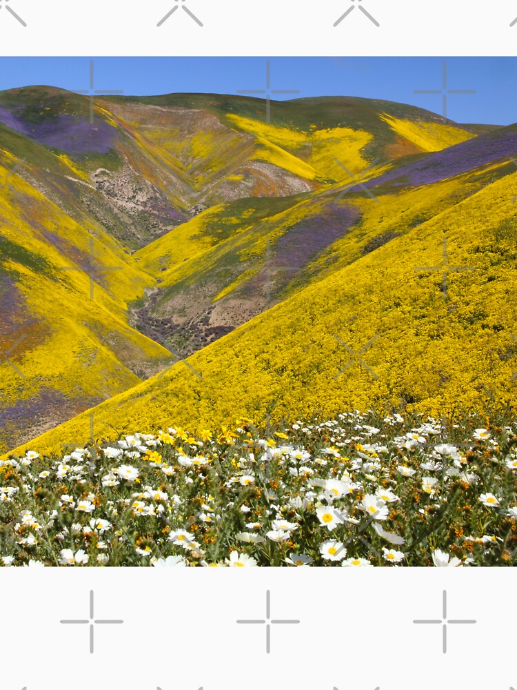 Superbloom - Incredible California wildflowers by MH65Designs Unisex , , , Long Sleeve Tee