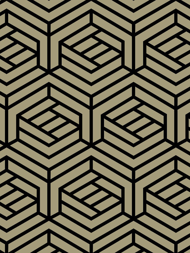Warm Taupe and Black Cube Geometric Shape Pattern Pairs Dulux 2022 Popular Colour Calming Meadow - Color Trends by ColorOfTheYears