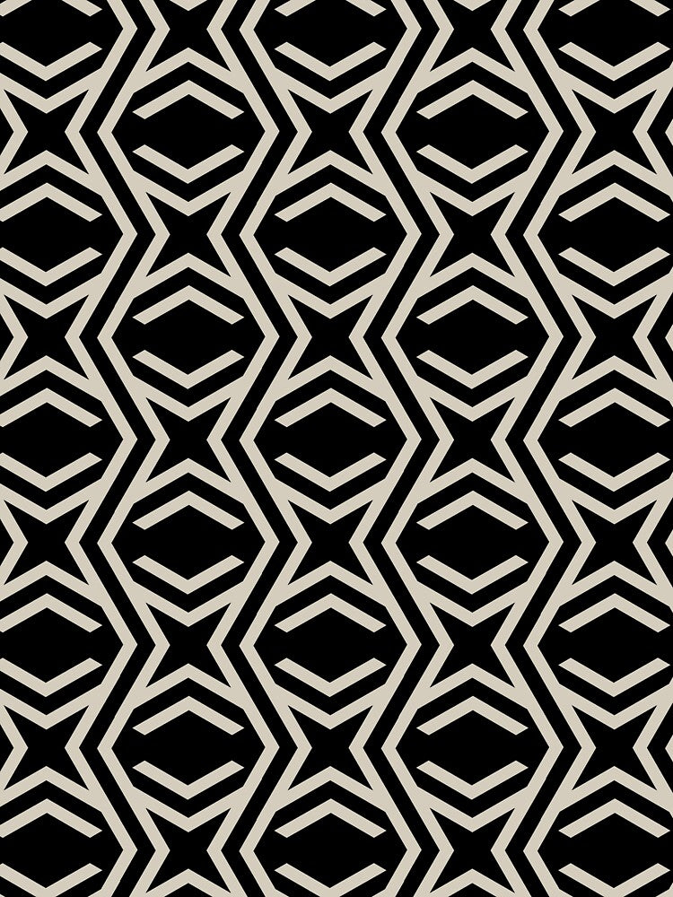 Black and Beige Zig Zag Stripe Star Pattern Pairs DE 2022 Trending Color Bay Salt DET642 by ColorOfTheYears
