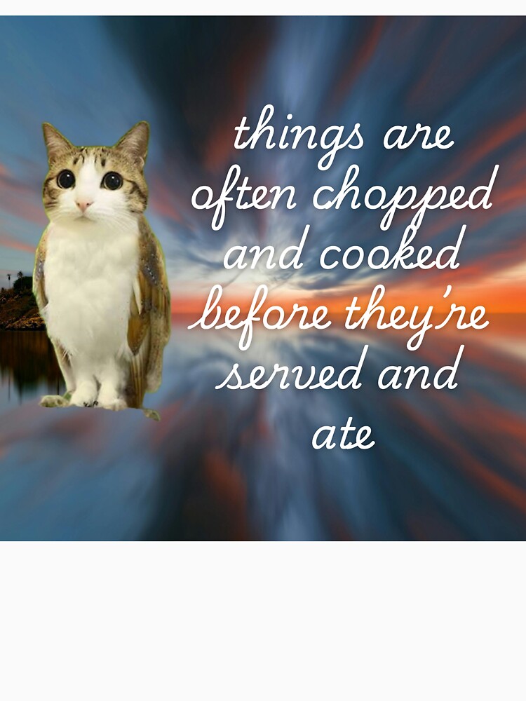 owlcat wisdom meme v2 by strwbrymoonbow Unisex , , , Long Sleeve Tee