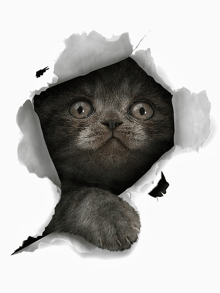 Cat Shirt, Gray Cat Tshirt, Cat Torn Cloth Shirt, Kitten Premium by gillsue43 Unisex , , , Long Sleeve Tee