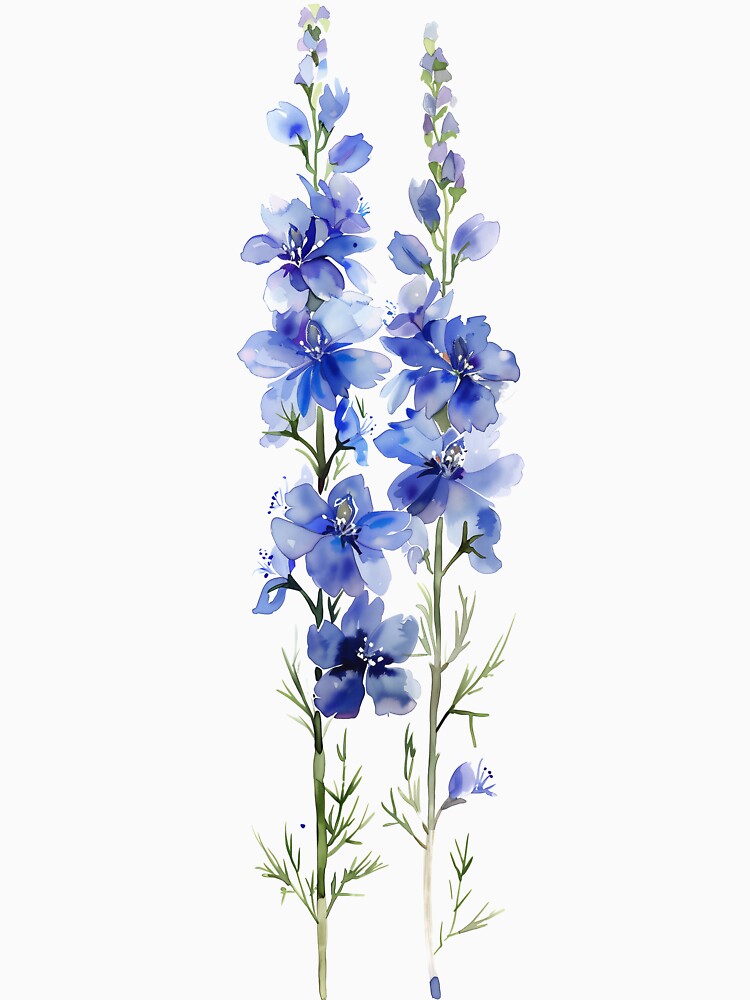 Watercolor Delphinium Flower by junkydotcom