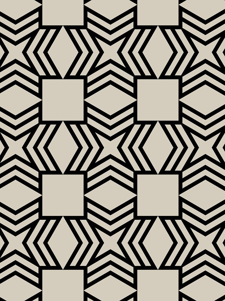 Black and Beige Geometric Star Square Shape Pattern Pairs DE 2022 Trending Color Bay Salt DET642 by ColorOfTheYears