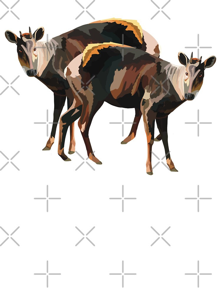 D is for Duiker,Duiker Artwork – Small Forest Antelope Illustration and African Wildlife Design by PrettylittlepastelUk