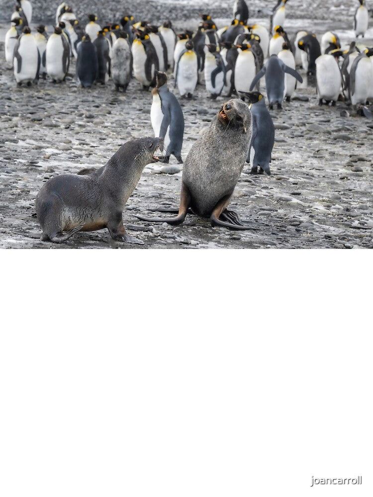Two Fur Seals South Georgia Island by PhotoArt by Joan Carroll Unisex , , , Long Sleeve Tee