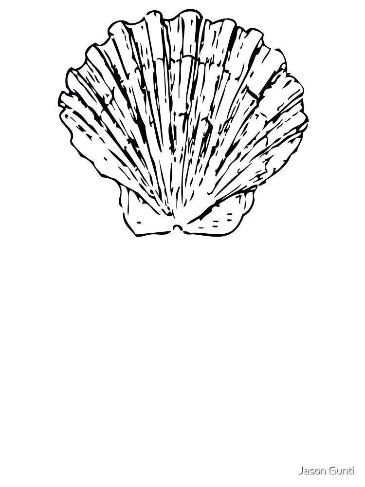 Vintage Style Scallop Shell Coastal by Jason Gunti