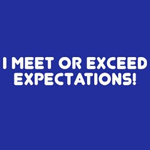 I Meet or Exceed Expectations T-shirt Funny S-3XL